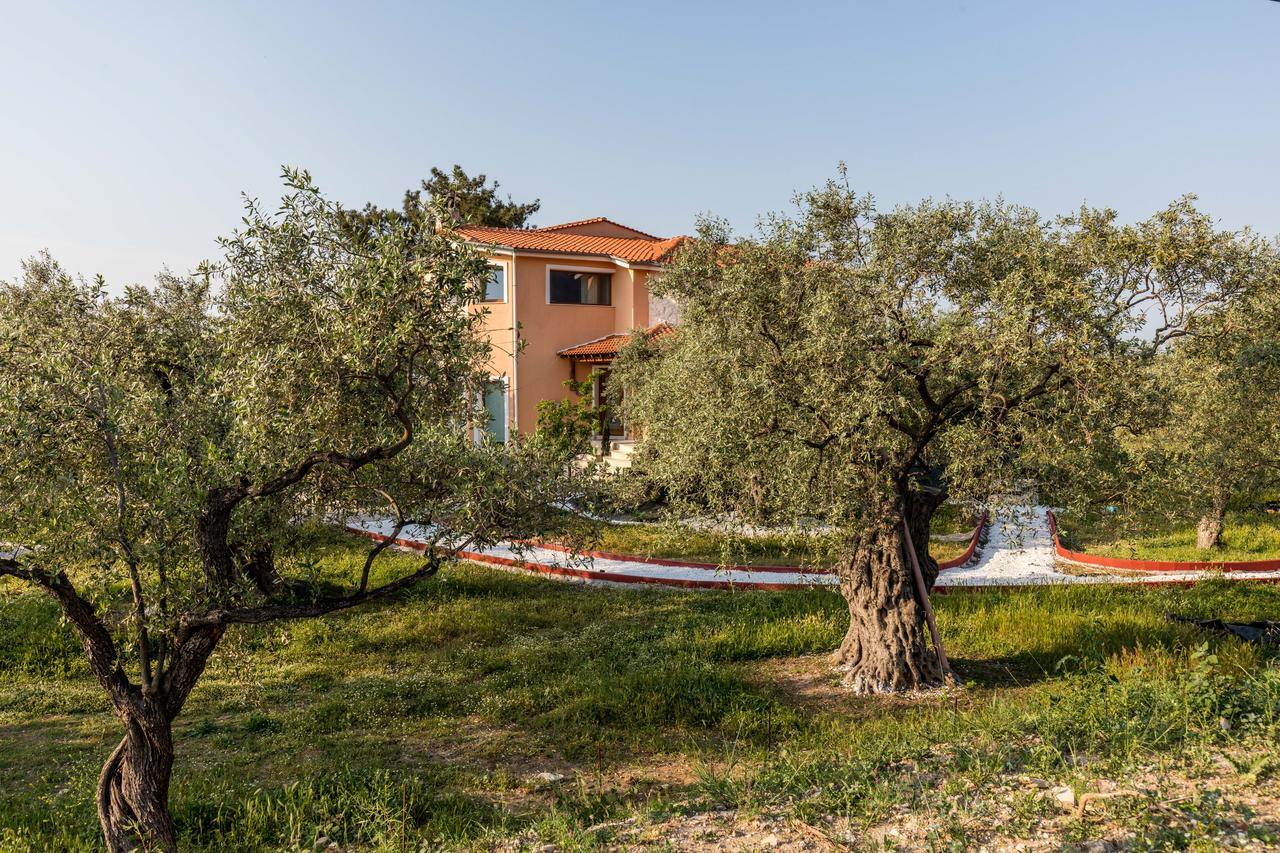 Fokas Luxury Villa Prínos Dış mekan fotoğraf