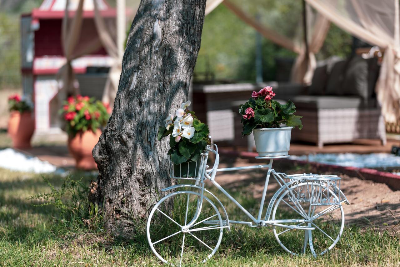 Fokas Luxury Villa Prínos Dış mekan fotoğraf